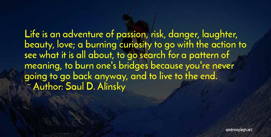 I Burn Bridges Quotes By Saul D. Alinsky