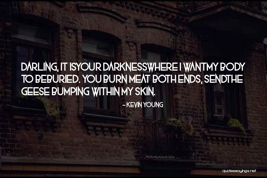 I Burn Quotes By Kevin Young