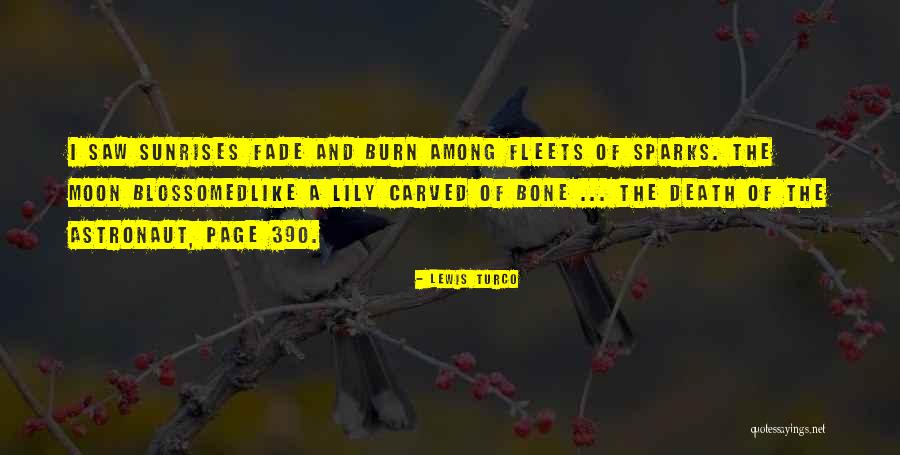 I Burn Quotes By Lewis Turco