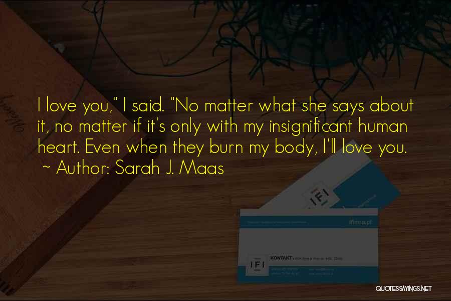 I Burn Quotes By Sarah J. Maas