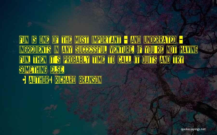 I Call It Quits Quotes By Richard Branson