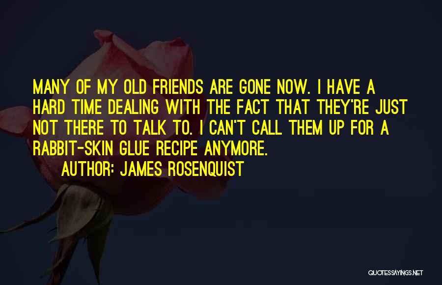 I Call Them Friends Quotes By James Rosenquist