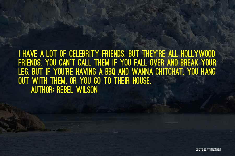 I Call Them Friends Quotes By Rebel Wilson