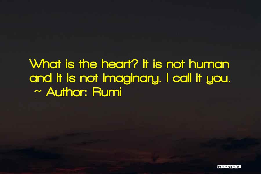 I Call You Quotes By Rumi