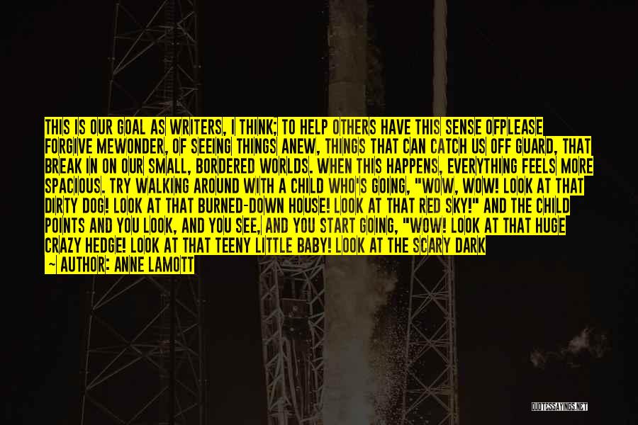 I Can Be A Little Crazy Quotes By Anne Lamott