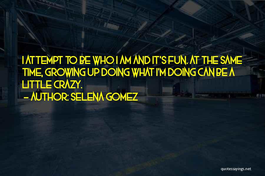 I Can Be A Little Crazy Quotes By Selena Gomez