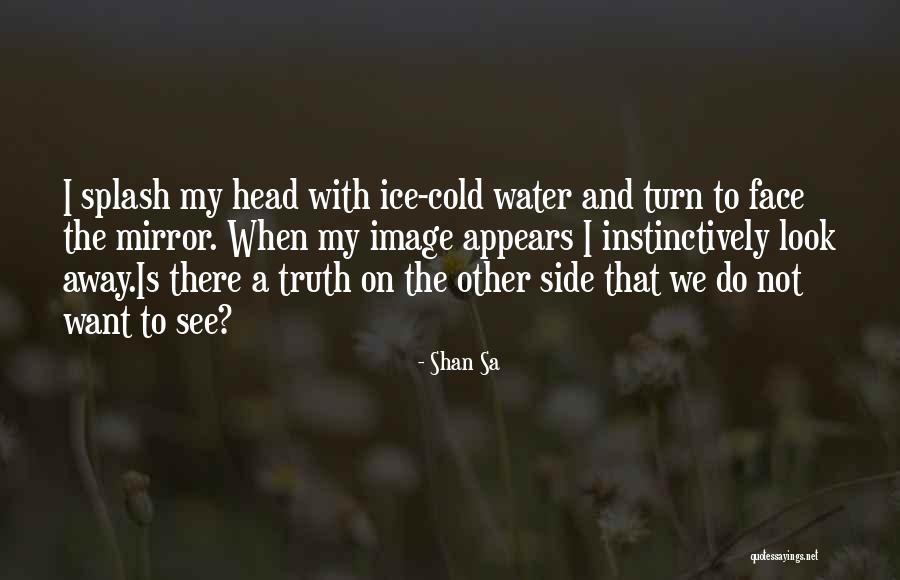 I Can Be Cold As Ice Quotes By Shan Sa