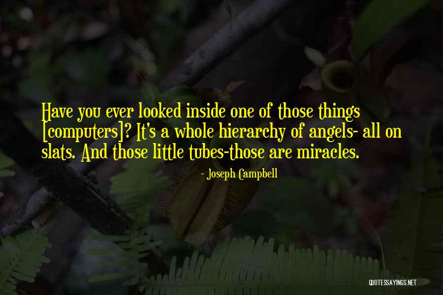 I Can Be Your Angel Quotes By Joseph Campbell