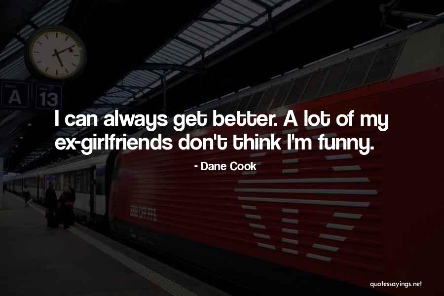 I Can Cook Quotes By Dane Cook