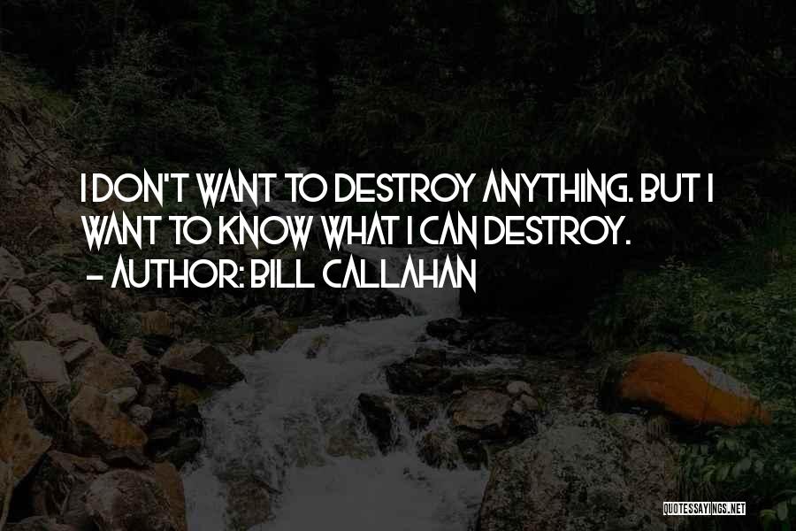I Can Destroy Quotes By Bill Callahan