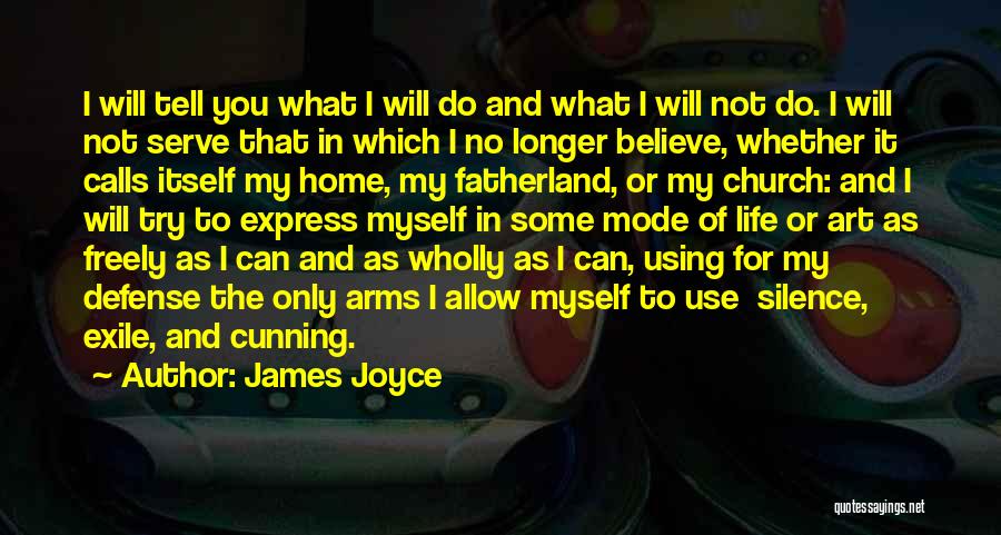 I Can Do It And I Will Do It Quotes By James Joyce