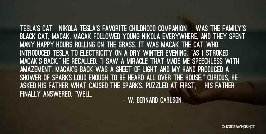 I Can Finally Be Happy Quotes By W. Bernard Carlson I Can Finally Be Happy Quotes By W. Bernard Carlson