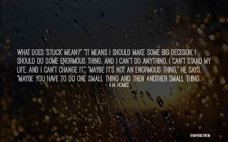 I Can Make A Change Quotes By A.M. Homes