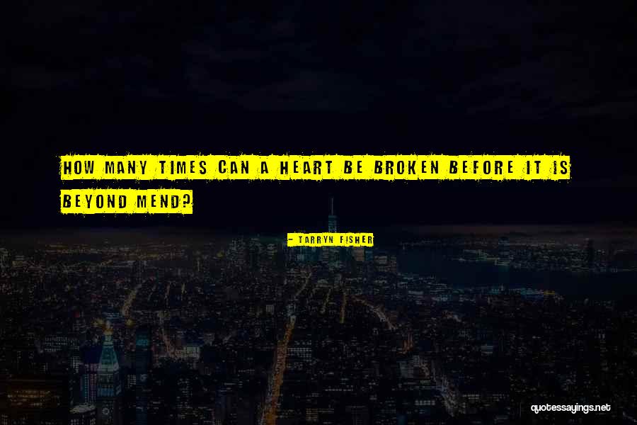 I Can Mend Your Broken Heart Quotes By Tarryn Fisher