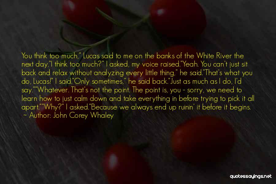 I Can Only Say Sorry Quotes By John Corey Whaley