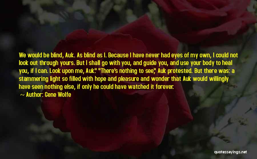 I Can See Through Your Eyes Quotes By Gene Wolfe