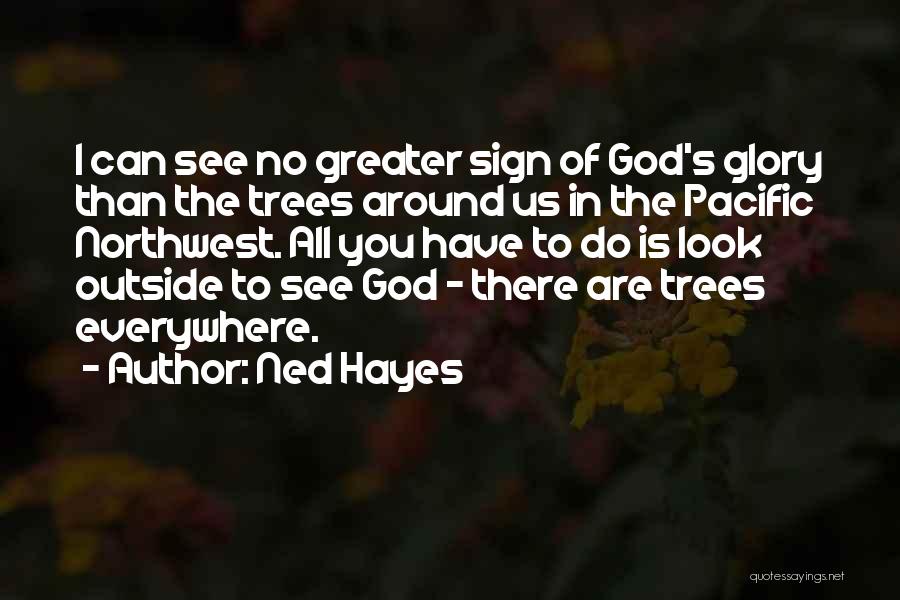 I Can See You Everywhere Quotes By Ned Hayes