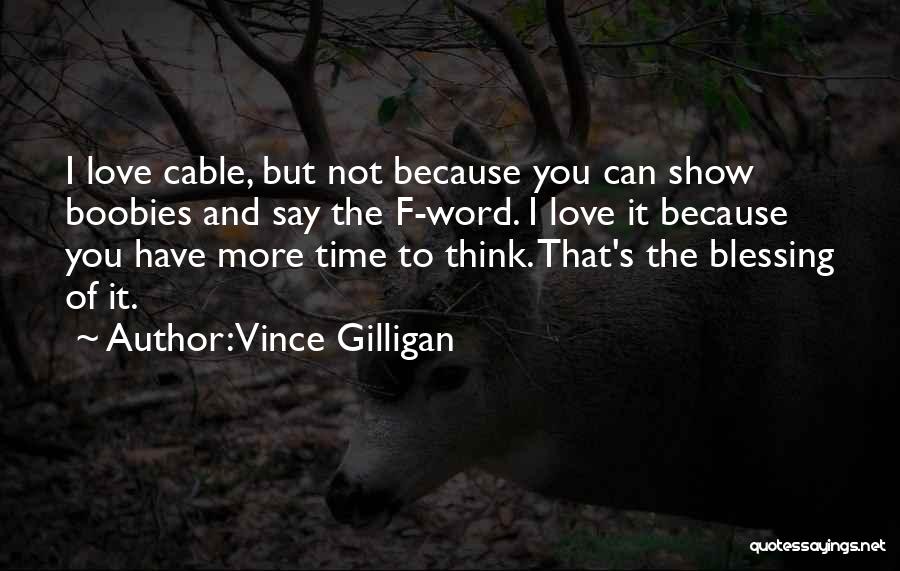 I Can Show You Love Quotes By Vince Gilligan