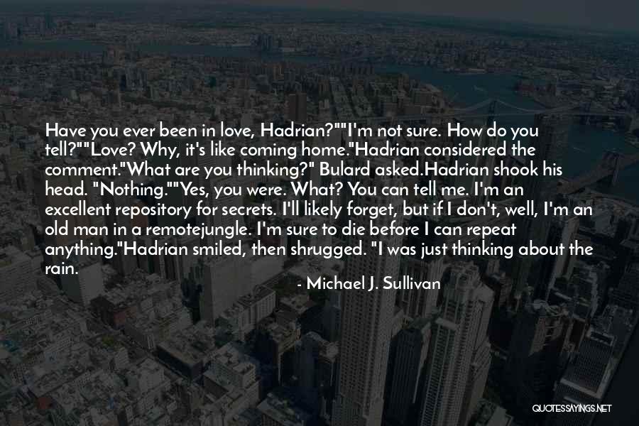 I Can Tell You Anything Quotes By Michael J. Sullivan I Can Tell You Anything Quotes By Michael J. Sullivan