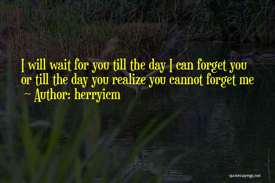 I Cannot Forget You Quotes By Herryicm