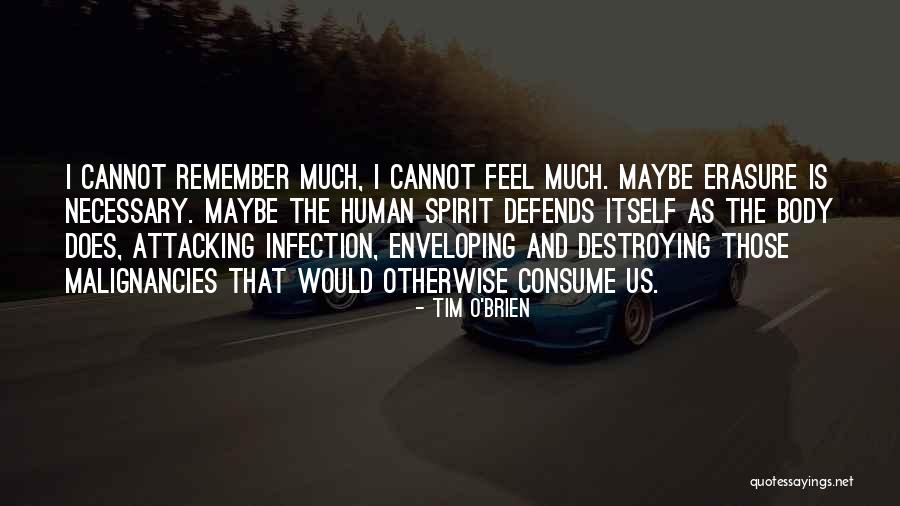 I Cannot Quotes By Tim O'Brien I Cannot Quotes By Tim O'Brien