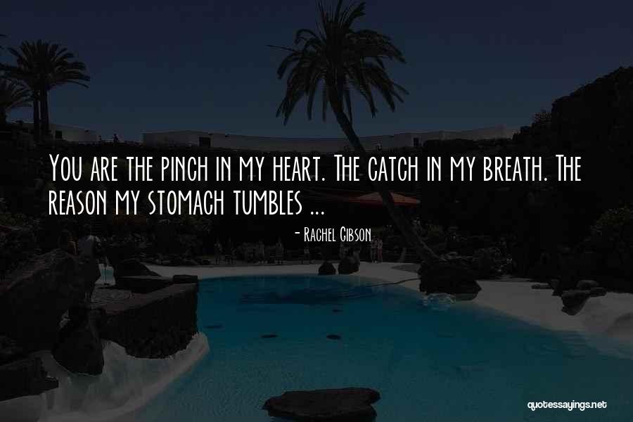 I Cant Breath Quotes By Rachel Gibson I Cant Breath Quotes By Rachel Gibson