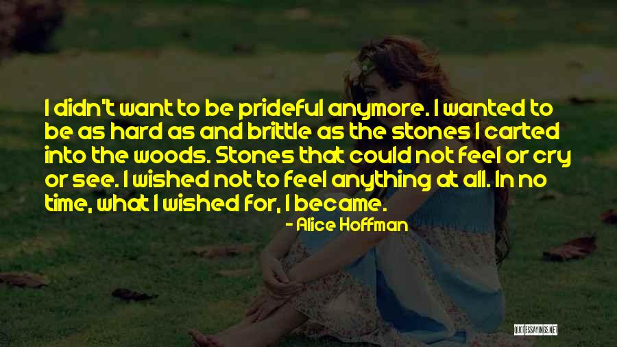 I Can't Cry Anymore Quotes By Alice Hoffman