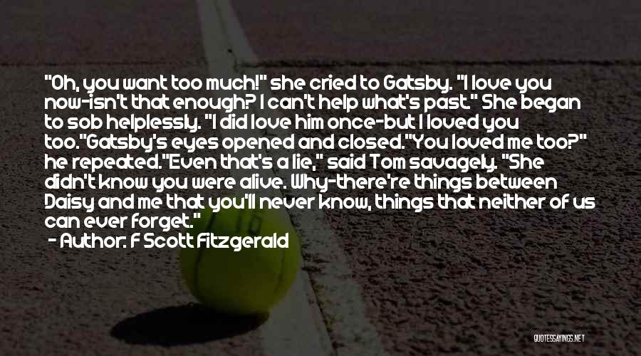 I Can't Forget What You Did Quotes By F Scott Fitzgerald
