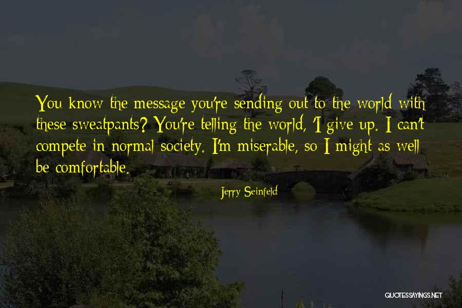 I Can't Give You The World Quotes By Jerry Seinfeld