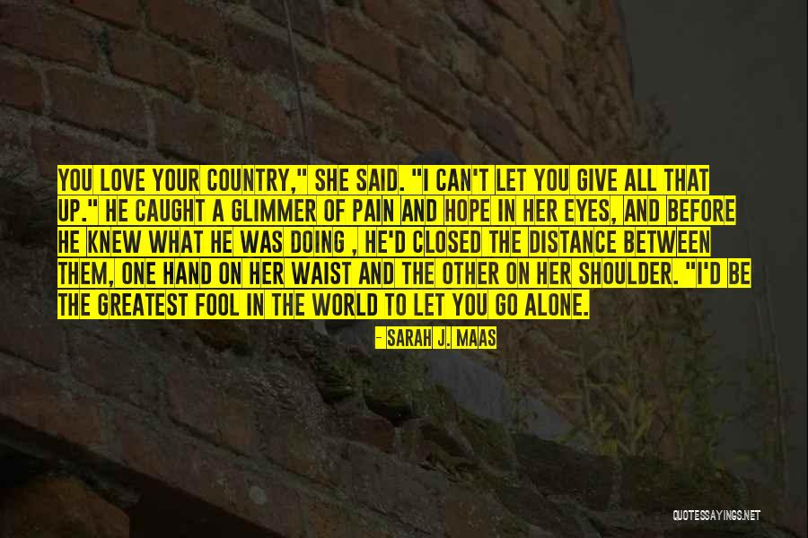 I Can't Give You The World Quotes By Sarah J. Maas