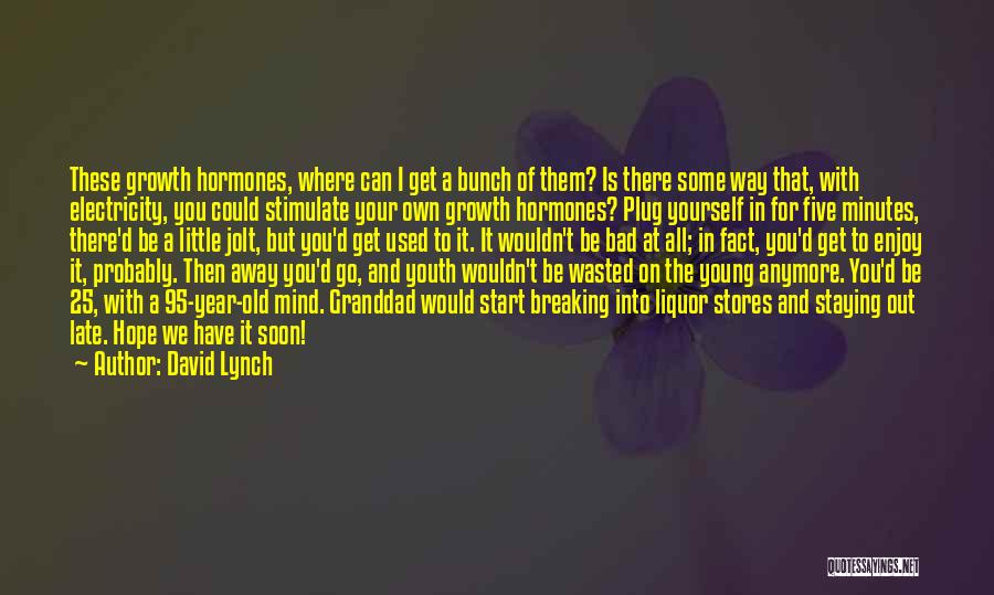 I Can't Go On Anymore Quotes By David Lynch