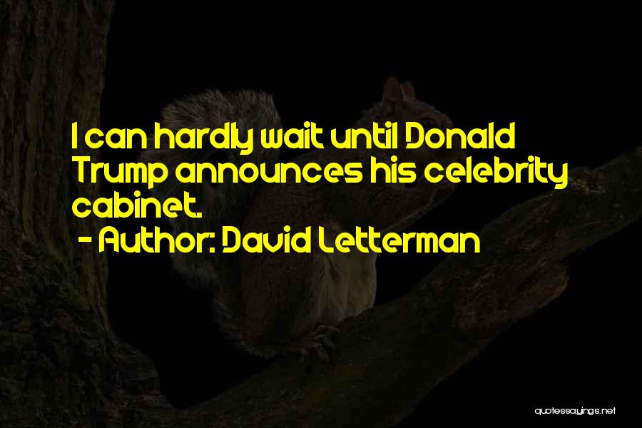 I Can't Hardly Wait Quotes By David Letterman