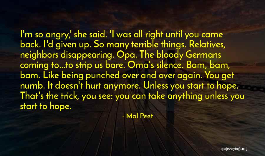 I Can't Hurt You Anymore Quotes By Mal Peet