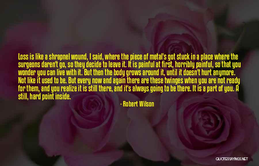 I Can't Hurt You Anymore Quotes By Robert Wilson I Can't Hurt You Anymore Quotes By Robert Wilson