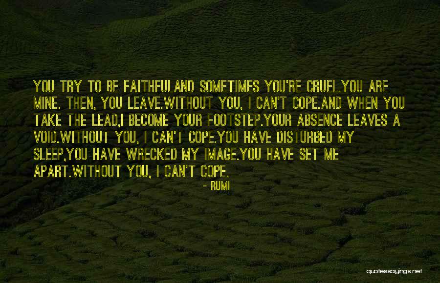 I Can't Leave Without You Quotes By Rumi