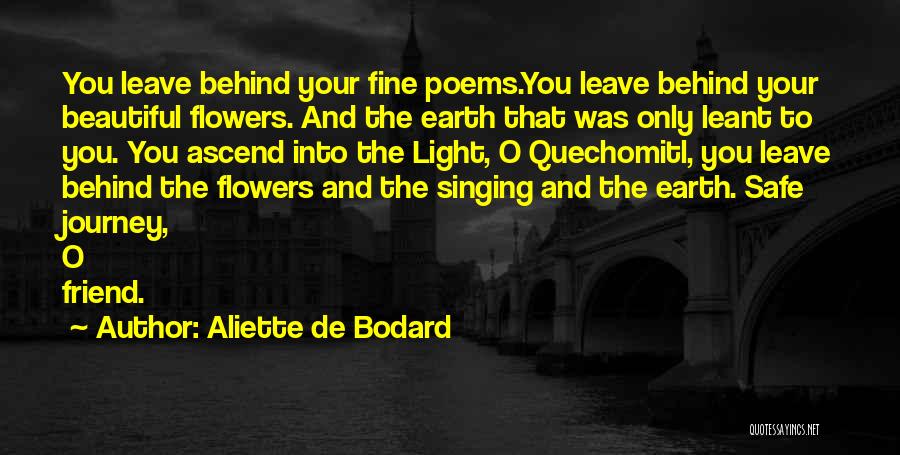 I Can't Leave You My Friend Quotes By Aliette De Bodard