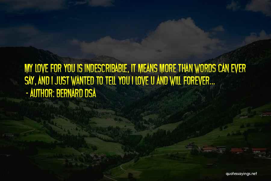 I Can't Love U Quotes By Bernard Dsa