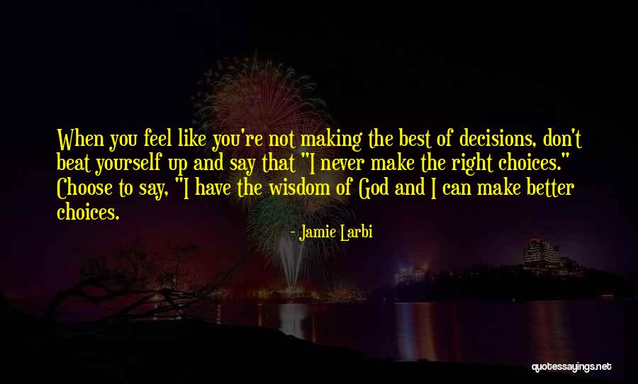 I Can't Make Decisions Quotes By Jamie Larbi