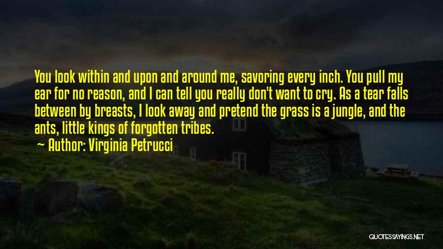 I Can't Pretend Quotes By Virginia Petrucci