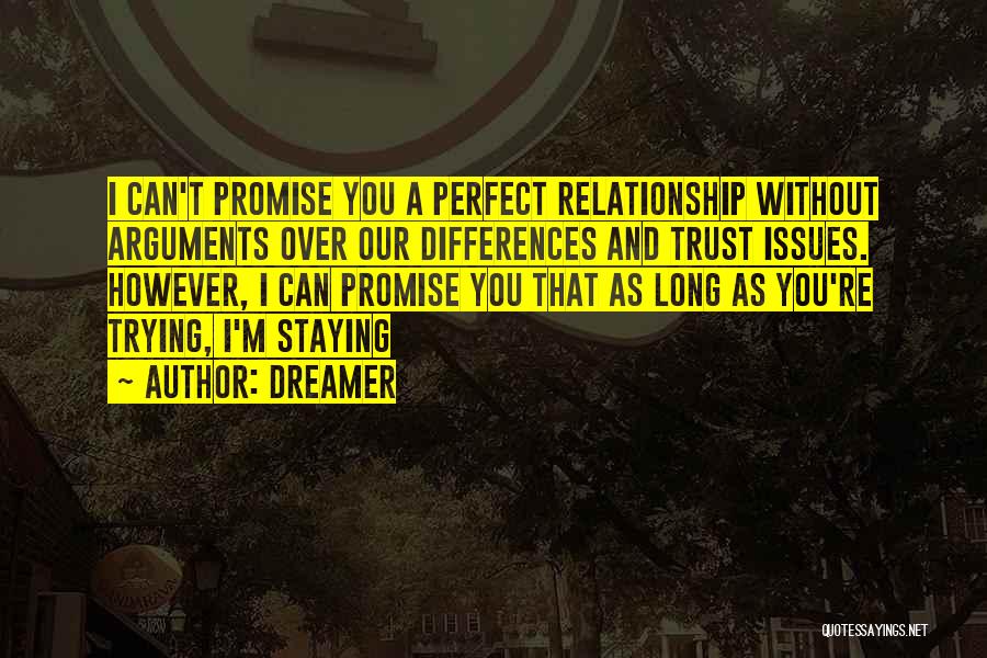 I Can't Promise A Perfect Relationship Quotes By Dreamer