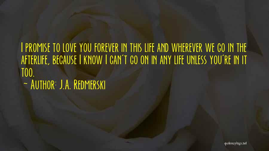I Can't Promise You Forever Quotes By J.A. Redmerski
