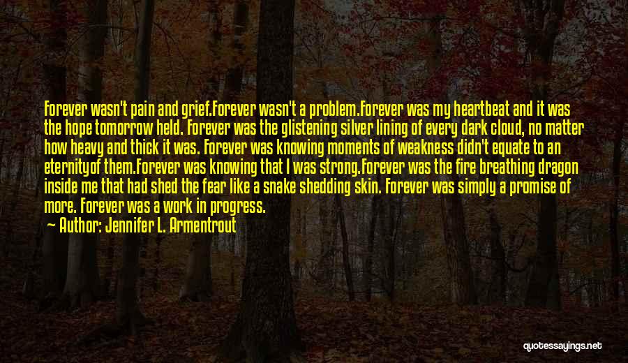 I Can't Promise You Forever Quotes By Jennifer L. Armentrout