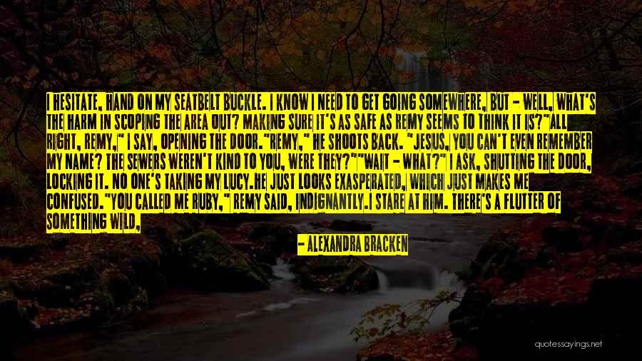 I Can't Say No To You Quotes By Alexandra Bracken