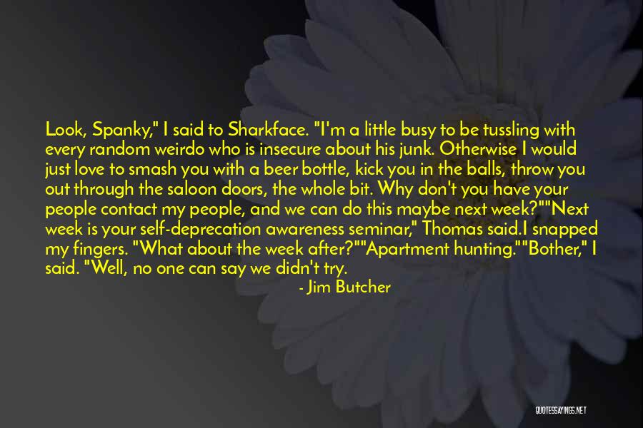 I Can't Say No To You Quotes By Jim Butcher