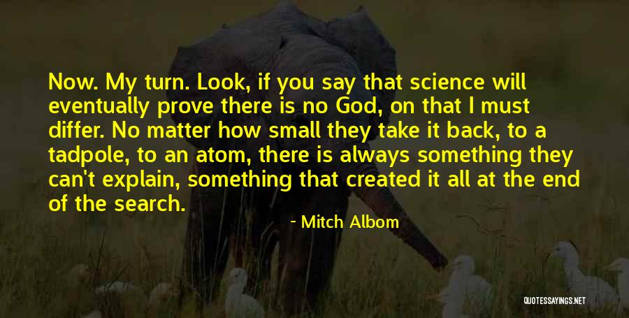 I Can't Say No To You Quotes By Mitch Albom