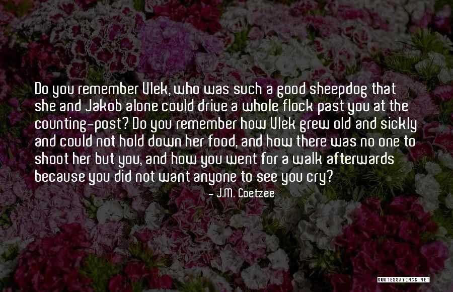 I Cant See U Cry Quotes By J.M. Coetzee I Cant See U Cry Quotes By J.M. Coetzee