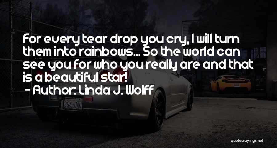 I Can't See You Cry Quotes By Linda J. Wolff