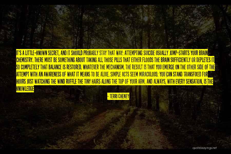 I Can't Wait For You Anymore Quotes By Terri Cheney I Can't Wait For You Anymore Quotes By Terri Cheney