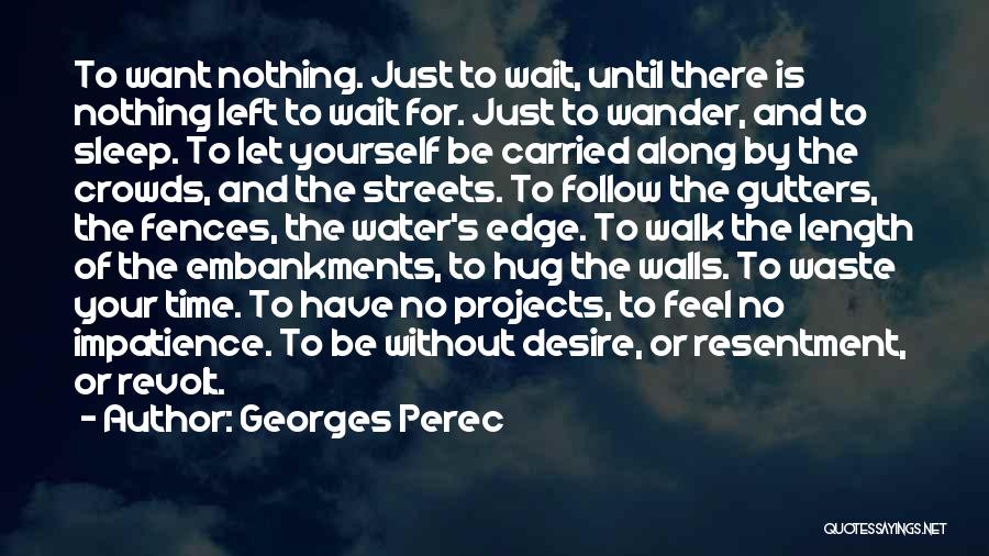 I Can't Wait To Hug You Quotes By Georges Perec