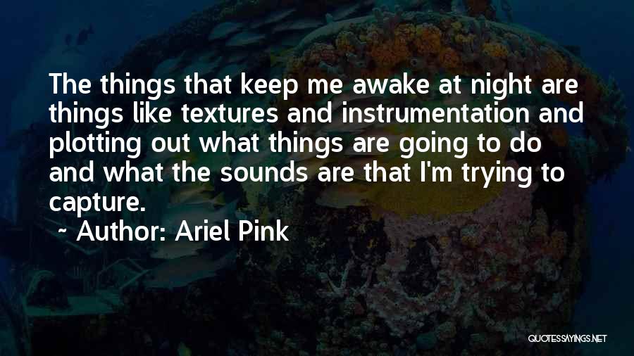 I Capture Quotes By Ariel Pink